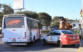 En febrero, la Secretaría llevó a cabo 222 operativos de inspección.