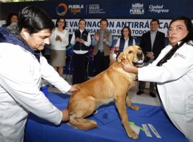 Ayuntamiento y Gobierno de Puebla encabezan el inicio de actividades 