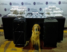 Detectan droga en paqueter&iacute;a 