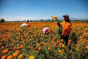 Hombres y mujeres son empleados activando la economía de la zona  