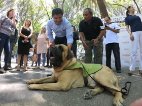  Pondrá en marcha dos unidades de denuncia en el norte y sur de la ciudad