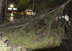 La capital de Puebla sufrió afectaciones por lluvia